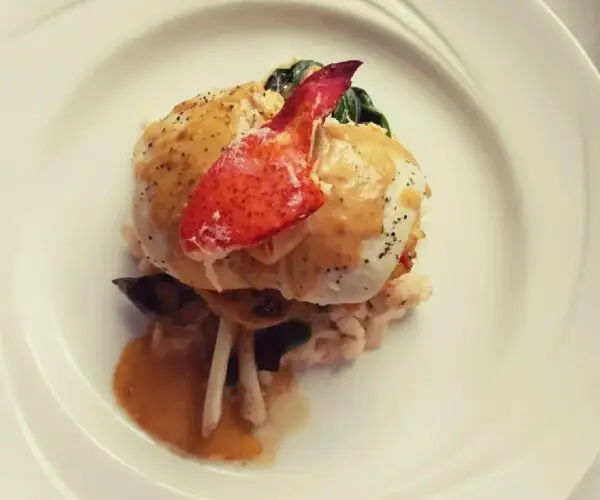 Gourmet dish featuring a lobster claw and delicate sauce.