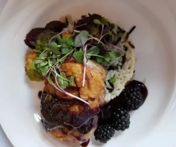 Gourmet dish with microgreens, sauce, and blackberries.